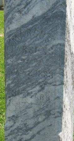 PARSONS, MARCUS - Louisa County, Iowa | MARCUS PARSONS 