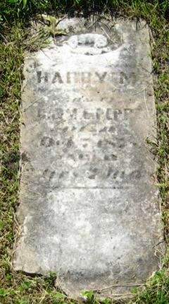 PEPPER, HARRY M. - Louisa County, Iowa | HARRY M. PEPPER 