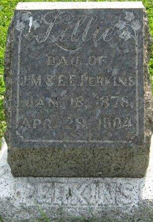 PERKINS, LILLIE - Louisa County, Iowa | LILLIE PERKINS 