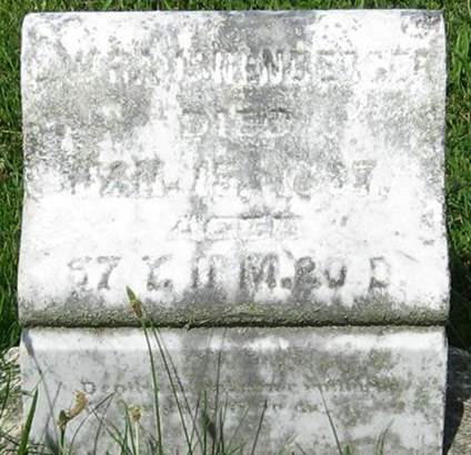 RAUSHENBERGER, L. W. - Louisa County, Iowa | L. W. RAUSHENBERGER 