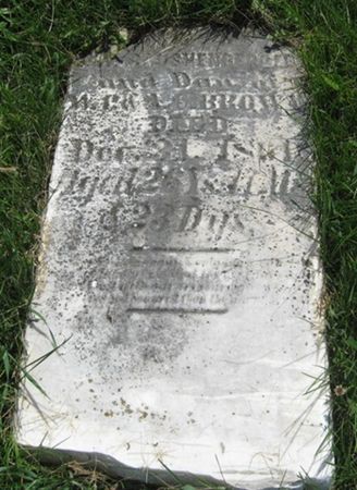 RAUSHENBERGER, MARY E. - Louisa County, Iowa | MARY E. RAUSHENBERGER 