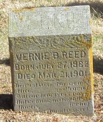 REED, VERNIE S. - Louisa County, Iowa | VERNIE S. REED 