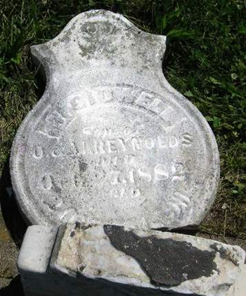 REYNOLDS, W. SIDWELL - Louisa County, Iowa | W. SIDWELL REYNOLDS 