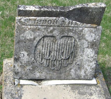 ROBBINS, FAMILY MONUMENT - Louisa County, Iowa | FAMILY MONUMENT ROBBINS 