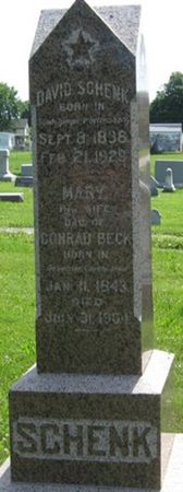 SCHENK, DAVID - Louisa County, Iowa | DAVID SCHENK 