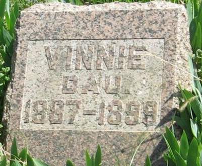 SCHWEITZER, VINNIE - Louisa County, Iowa | VINNIE SCHWEITZER 