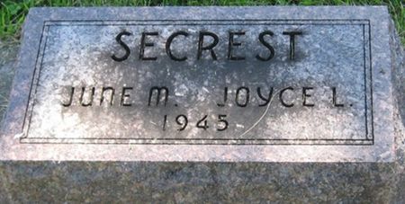 SECREST, JOYCE L. - Louisa County, Iowa | JOYCE L. SECREST 
