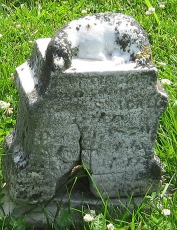 SHACKLE, HATTIE ZOE - Louisa County, Iowa | HATTIE ZOE SHACKLE 