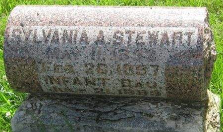 STEWART, SYLVANIA A. - Louisa County, Iowa | SYLVANIA A. STEWART 