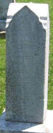 STROUP, G. W. - Louisa County, Iowa | G. W. STROUP 