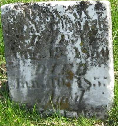 STUDDARD, INFANT - Louisa County, Iowa | INFANT STUDDARD 