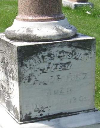 SWAN, JAMES M. - Louisa County, Iowa | JAMES M. SWAN 