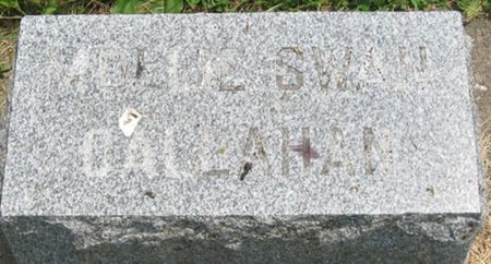 SWAN, MOLLIE B. - Louisa County, Iowa | MOLLIE B. SWAN 