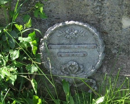 SWAN, SUSAN - Louisa County, Iowa | SUSAN SWAN 