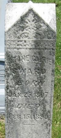 SWARD, STINE CARRIE - Louisa County, Iowa | STINE CARRIE SWARD 