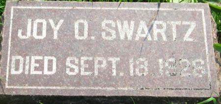 SWARTZ, JOY O. - Louisa County, Iowa | JOY O. SWARTZ 