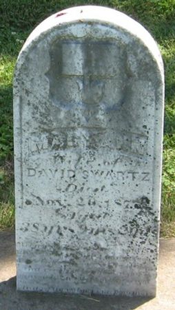 SWARTZ, MARY ANN - Louisa County, Iowa | MARY ANN SWARTZ 