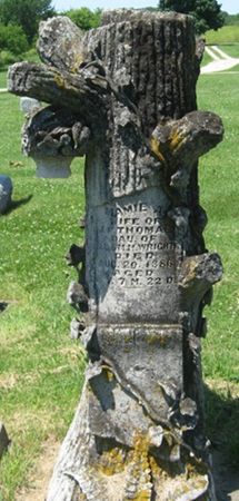 THOMAS, MAMIE A. - Louisa County, Iowa | MAMIE A. THOMAS 