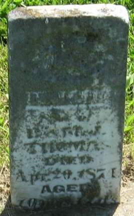 THOMAS, WILLIE - Louisa County, Iowa | WILLIE THOMAS 