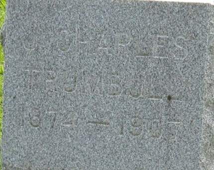 TRUMBULL, J. CHARLES - Louisa County, Iowa | J. CHARLES TRUMBULL 