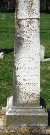 WALKER, ELMIRA A. - Louisa County, Iowa | ELMIRA A. WALKER 