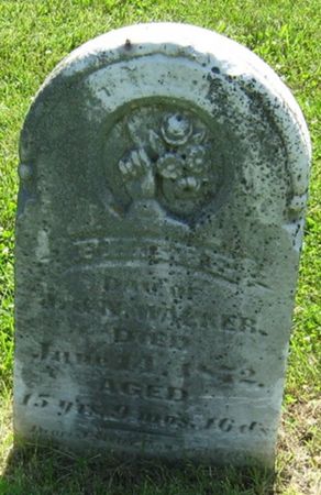 WALKER, PHEBE - Louisa County, Iowa | PHEBE WALKER 