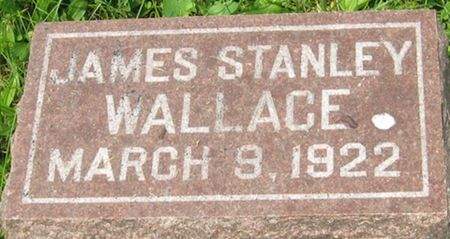 WALLACE, JAMES STANLEY - Louisa County, Iowa | JAMES STANLEY WALLACE 