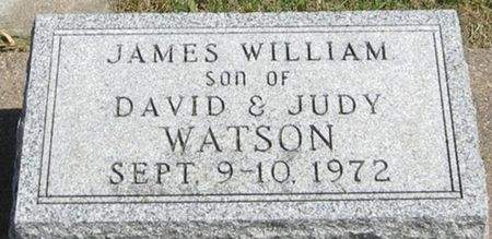 WATSON, JAMES WILLIAM - Louisa County, Iowa | JAMES WILLIAM WATSON 