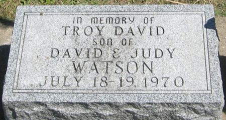 WATSON, TROY DAVID - Louisa County, Iowa | TROY DAVID WATSON 