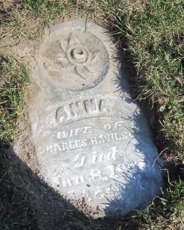 WILSON, ANNA - Louisa County, Iowa | ANNA WILSON 