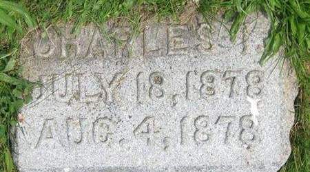 WILSON, CHARLES I. - Louisa County, Iowa | CHARLES I. WILSON 