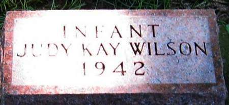 WILSON, JUDY KAY - Louisa County, Iowa | JUDY KAY WILSON 