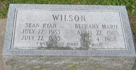 WILSON, SEAN RYAN - Louisa County, Iowa | SEAN RYAN WILSON 