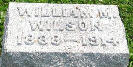 WILSON, WILLIAM M. - Louisa County, Iowa | WILLIAM M. WILSON 