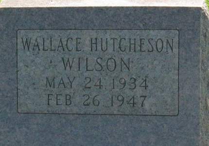 WILSON, WALLACE HUTCHESON - Louisa County, Iowa | WALLACE HUTCHESON WILSON 