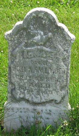 WOOD, IONA S. - Louisa County, Iowa | IONA S. WOOD 