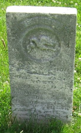 WOOD, WESLEY J. - Louisa County, Iowa | WESLEY J. WOOD 