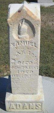 ADAMS, SAMUEL - Lucas County, Iowa | SAMUEL ADAMS 