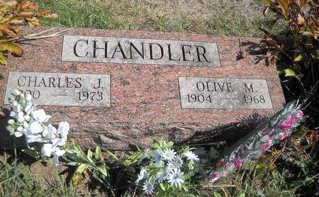 CHANDLER, OLIVE M - Lucas County, Iowa | OLIVE M CHANDLER 
