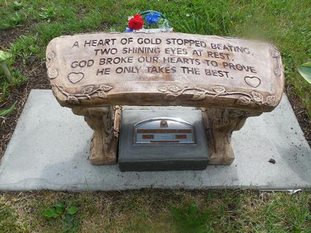 CLYDE, TERRY RAY - Lucas County, Iowa | TERRY RAY CLYDE 