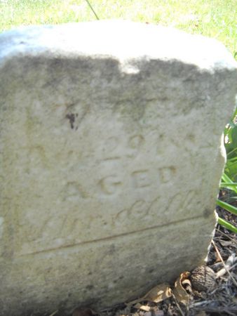 DAVIS, MARY - Lucas County, Iowa | MARY DAVIS 