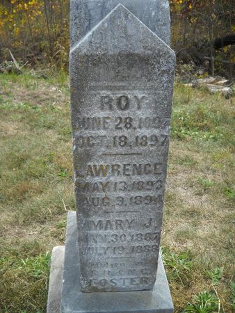 FOSTER, MARY J - Lucas County, Iowa | MARY J FOSTER 