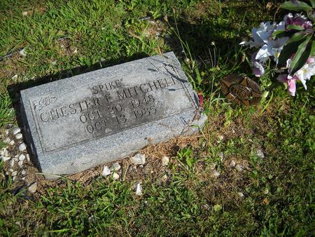 MITCHELL, CHESTER F - Lucas County, Iowa | CHESTER F MITCHELL 