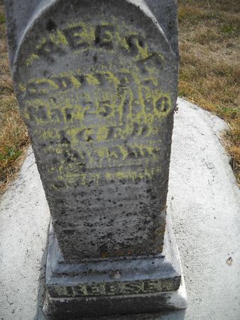 REESE, REESE - Lucas County, Iowa | REESE REESE 