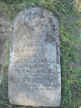 REESE, EDWARD - Lucas County, Iowa | EDWARD REESE 