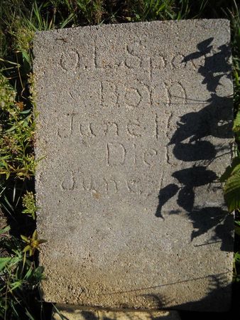 SPOON, ORVAL LEROY - Lucas County, Iowa | ORVAL LEROY SPOON 