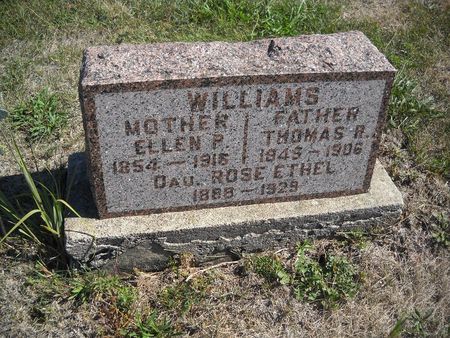 WILLIAMS, ELLEN P - Lucas County, Iowa | ELLEN P WILLIAMS 