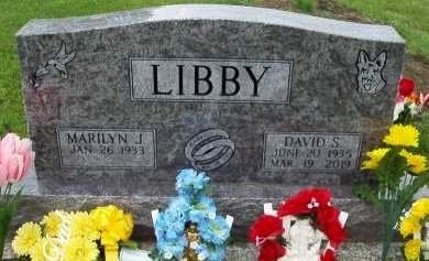 LIBBY, DAVID S. - Madison County, Iowa | DAVID S. LIBBY 