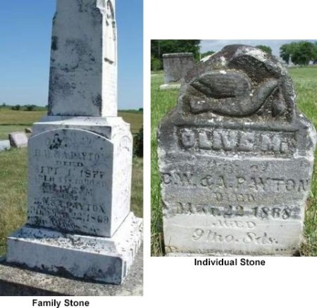 PAYTON, OLIVE M. - Madison County, Iowa | OLIVE M. PAYTON 