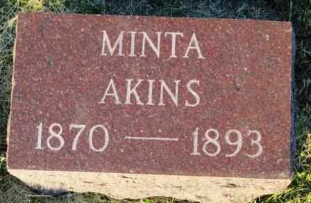 AKINS, MINTA - Mahaska County, Iowa | MINTA AKINS 